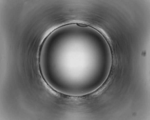 X0000091920910200709051437