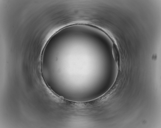 X0000091920911200709051437