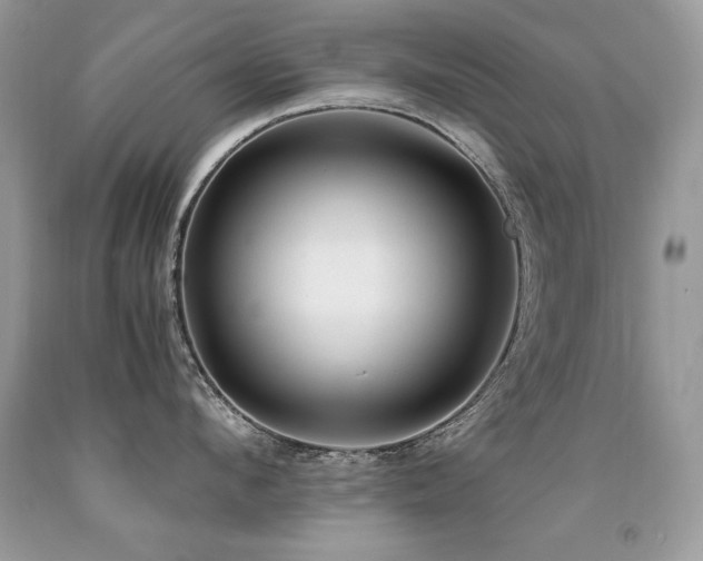 X0000091920912200709051437