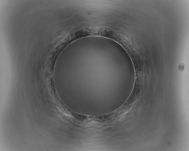 X0000091920913200709051437