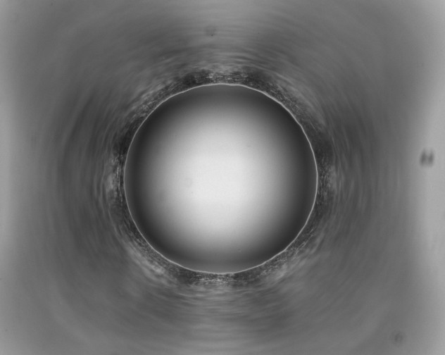 X0000091920914200709051437