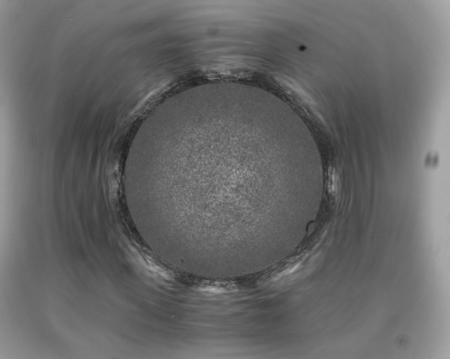X0000091920915200709051437