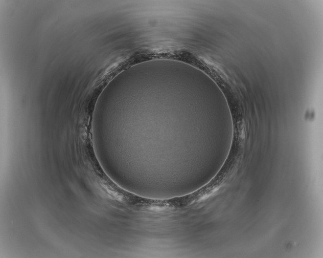 X0000091920916200709051437