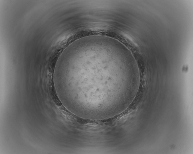 X0000091920917200709051437