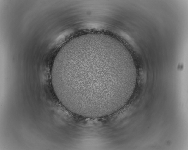 X0000091920918200709051437