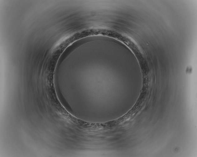 X0000091920919200709051437