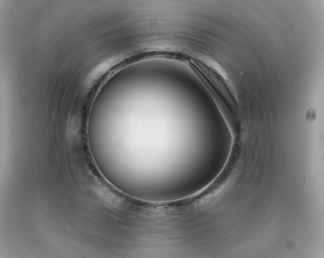 X0000091920922200709051437