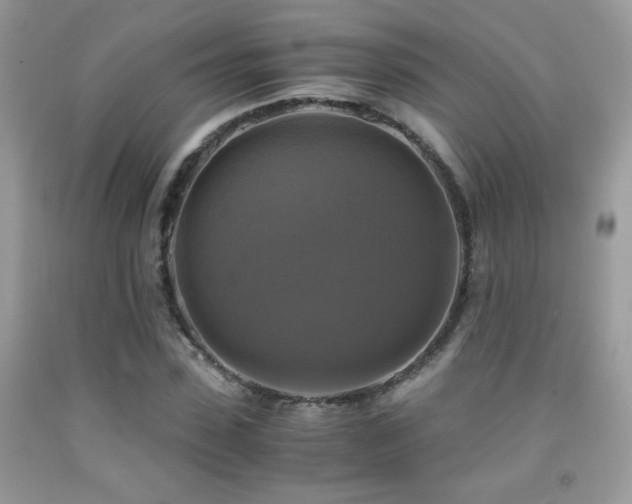 X0000091920923200709051437