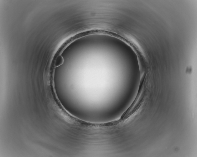 X0000091920924200709051437
