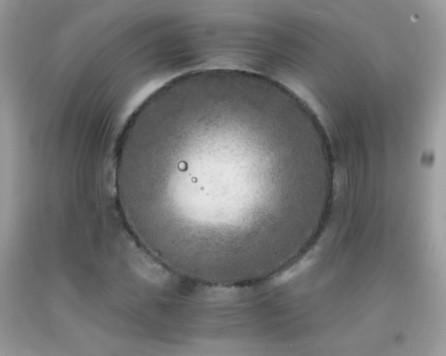 X0000091920925200709051437