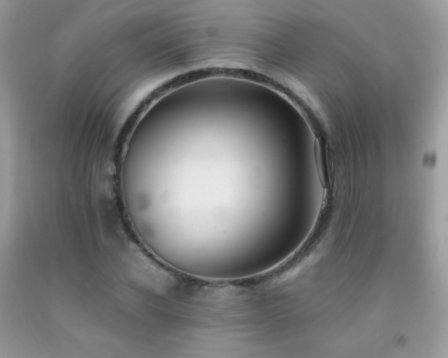 X0000091920926200709051437