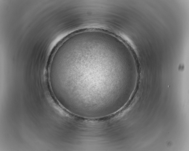 X0000091920928200709051437