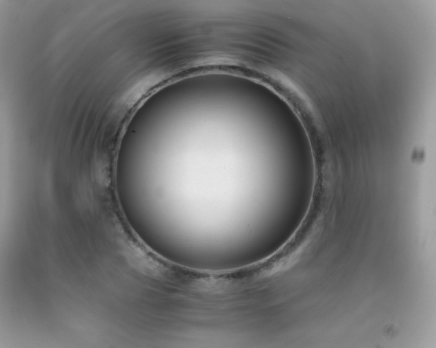 X0000091920929200709051437