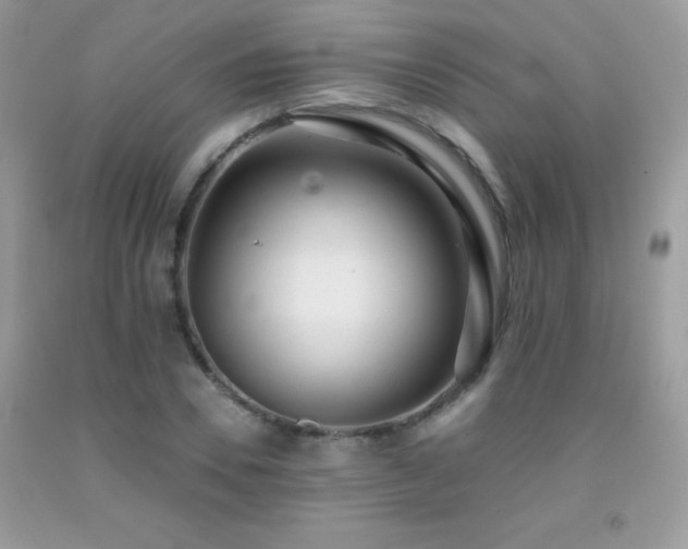 X0000091920930200709051437