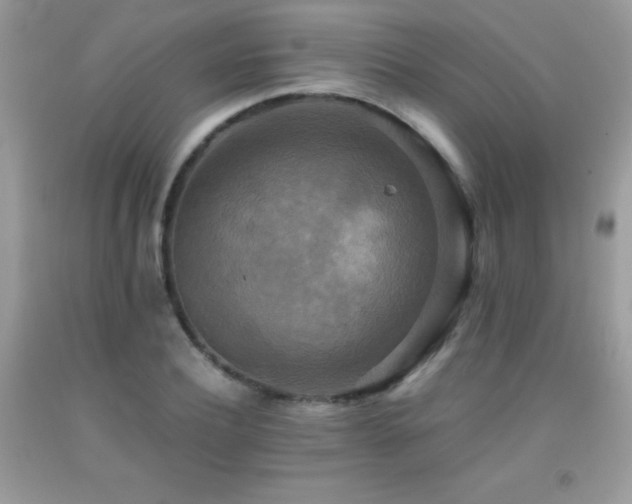 X0000091920932200709051437