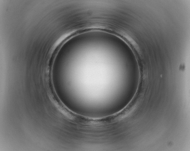 X0000091920933200709051437