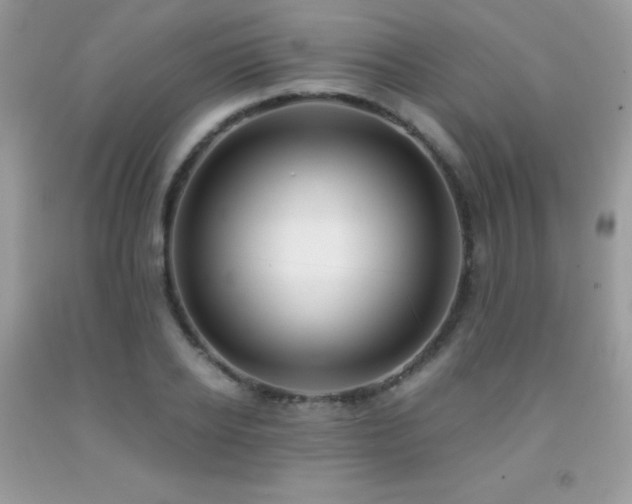 X0000091920934200709051437