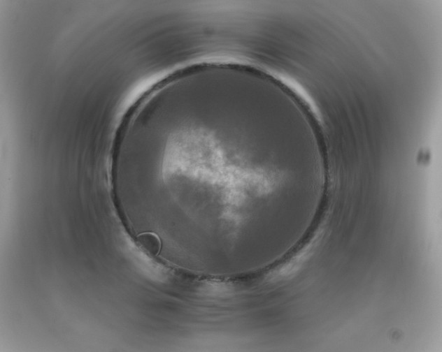 X0000091920935200709051437