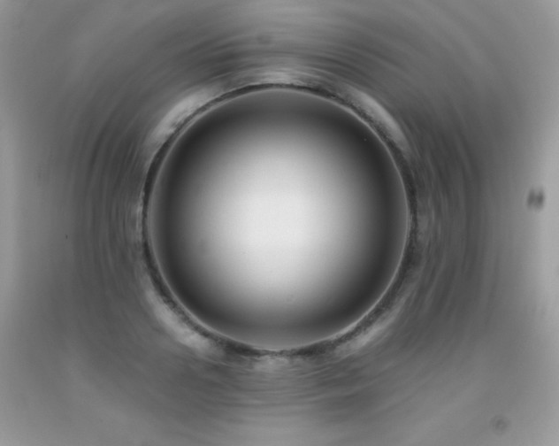 X0000091920938200709051437