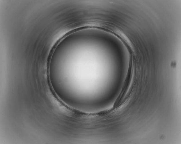 X0000091920939200709051437
