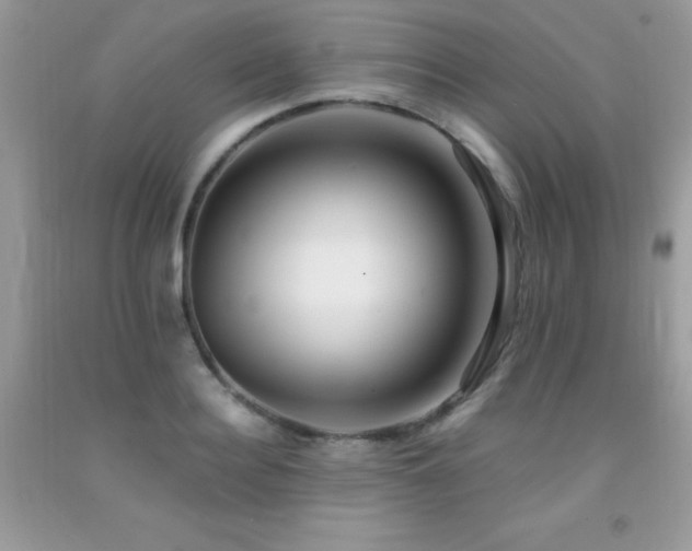 X0000091920940200709051437