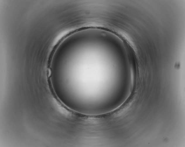 X0000091920942200709051437