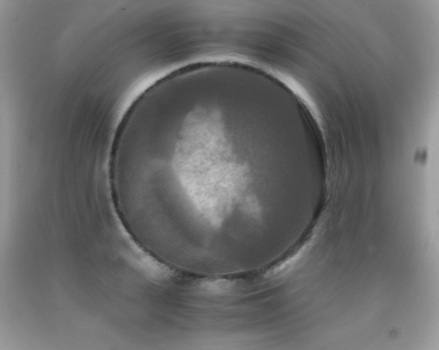 X0000091920943200709051437