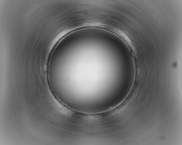 X0000091920947200709051437