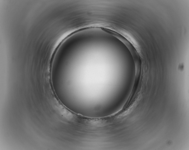 X0000091920948200709051437