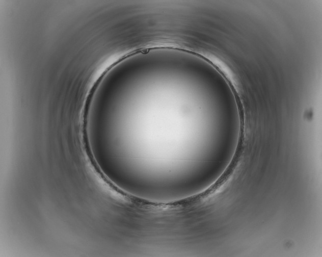 X0000091920949200709051437