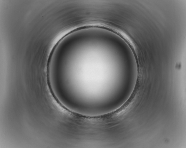 X0000091920951200709051437