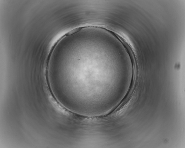 X0000091920952200709051437