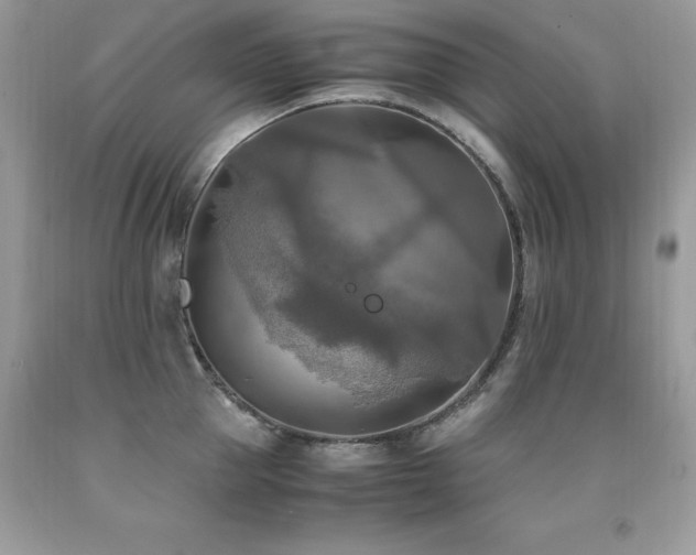 X0000091920953200709051437