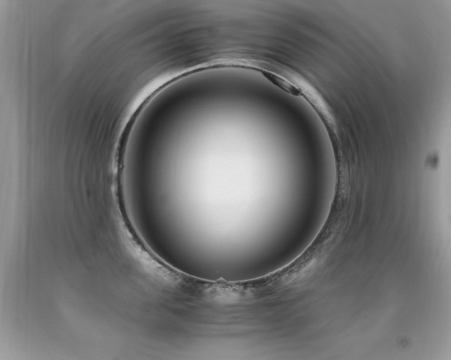 X0000091920955200709051437