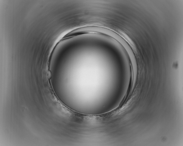 X0000091920956200709051437
