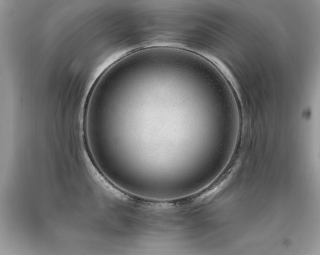 X0000091920957200709051437