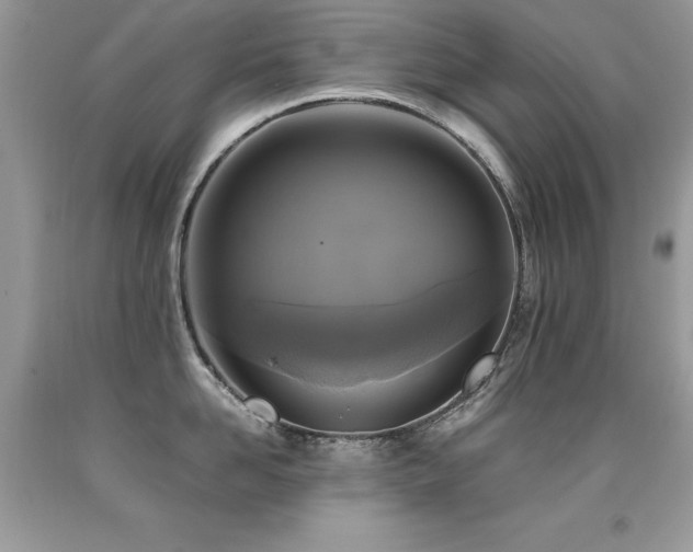X0000091920958200709051437