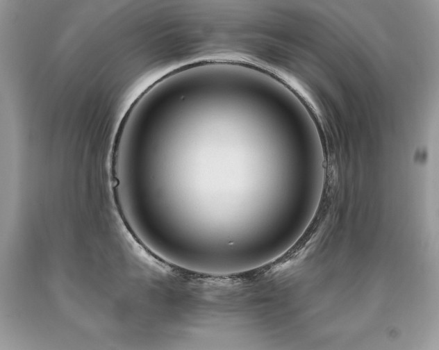 X0000091920959200709051437