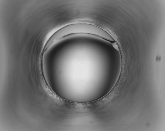 X0000091920960200709051437