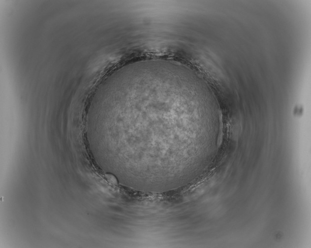 X0000091920961200709051437