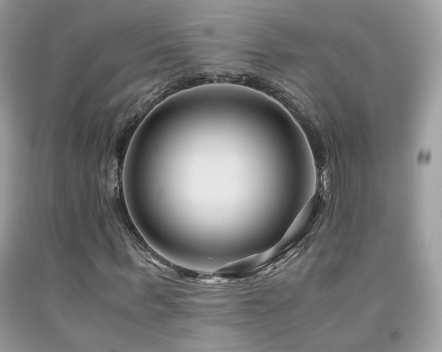 X0000091920963200709051437