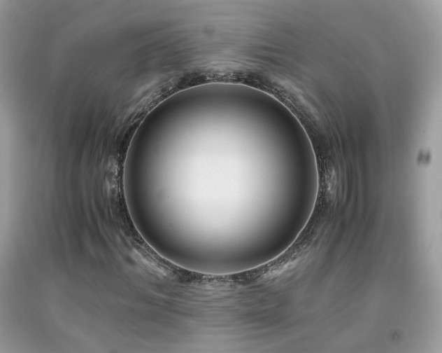 X0000091920964200709051437