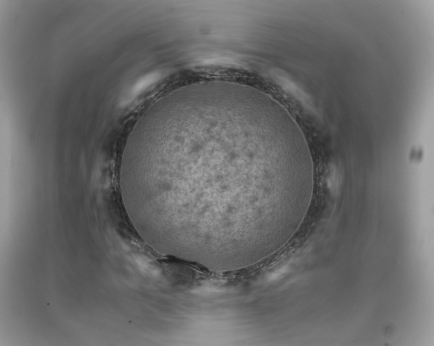 X0000091920965200709051437