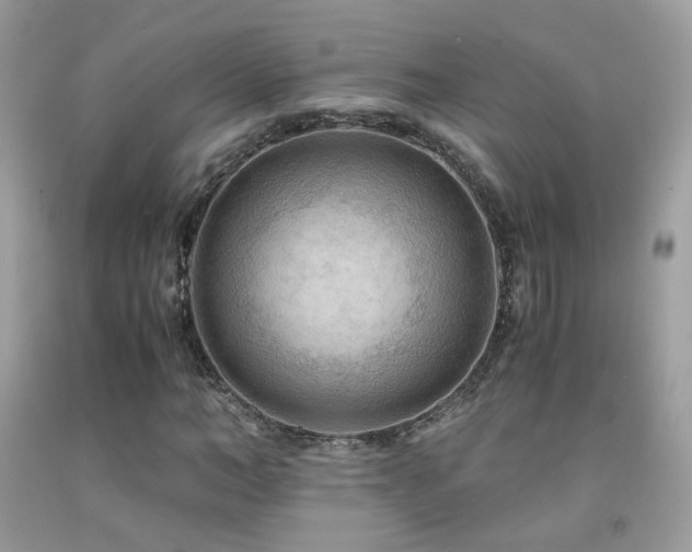 X0000091920966200709051437