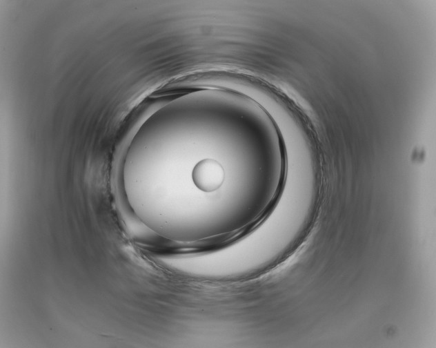 X0000091920969200709051436