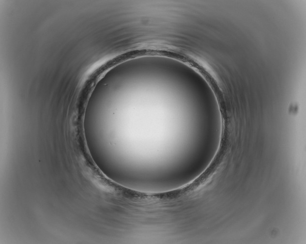 X0000091920971200709051436