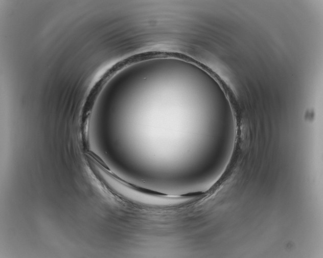 X0000091920972200709051436