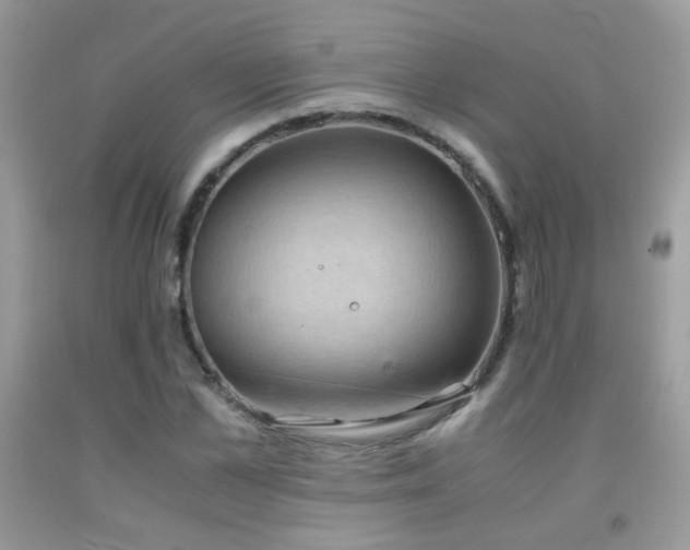 X0000091920973200709051436