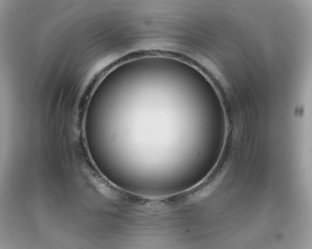 X0000091920974200709051436