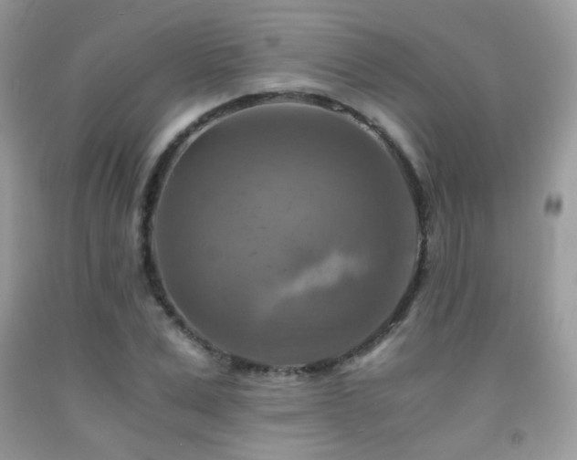 X0000091920975200709051436